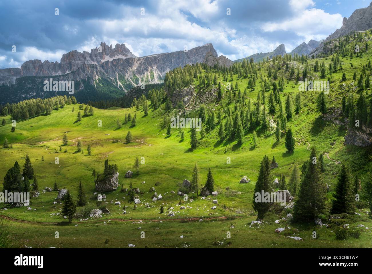 Spettacolare panorama alpino dal sentiero escursionistico che conduce alle famose cinque Torri con prati verdi, abeti e suggestive Dolomiti Foto Stock