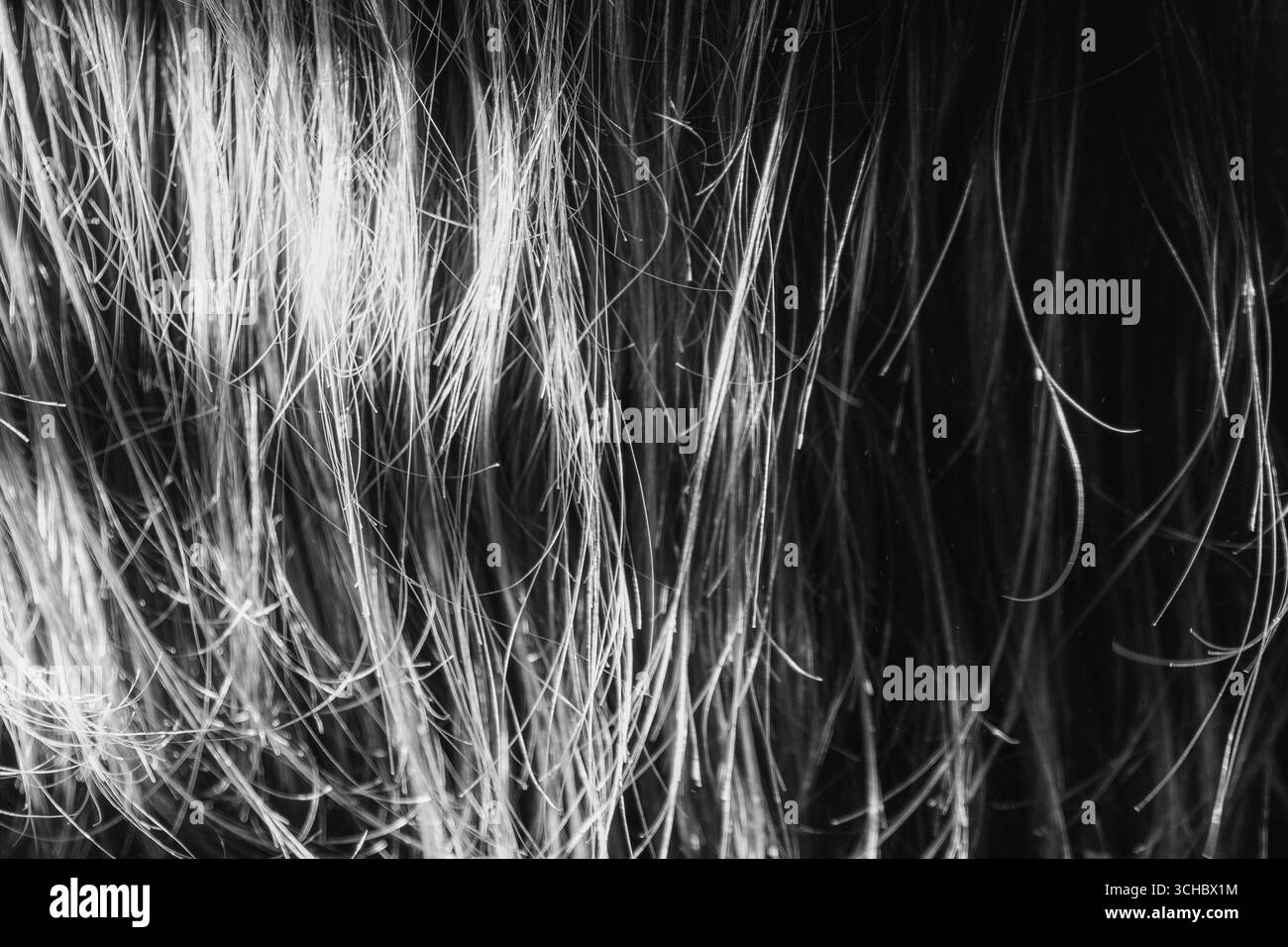 Filettature di luce. Capelli illuminati. Foto Stock