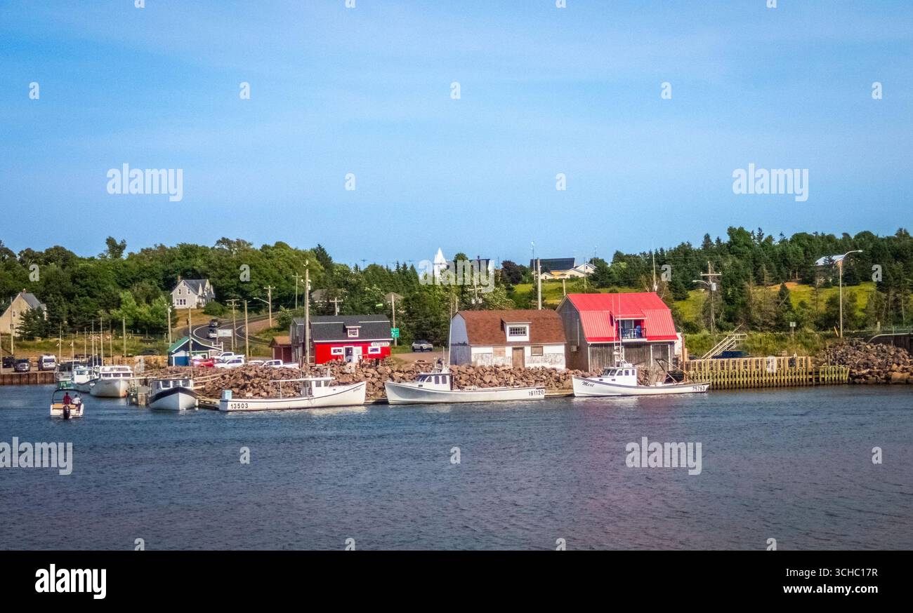 Barche da pesca attraccate allo Stanley Bridge Marina a Stanley Bridge, Isola del Principe Edoardo, Canada Foto Stock