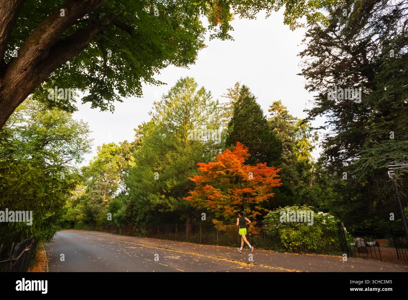 Inghilterra, Somerset, Bath, Royal Victoria Park, The Great Dell, foglie d'autunno Foto Stock