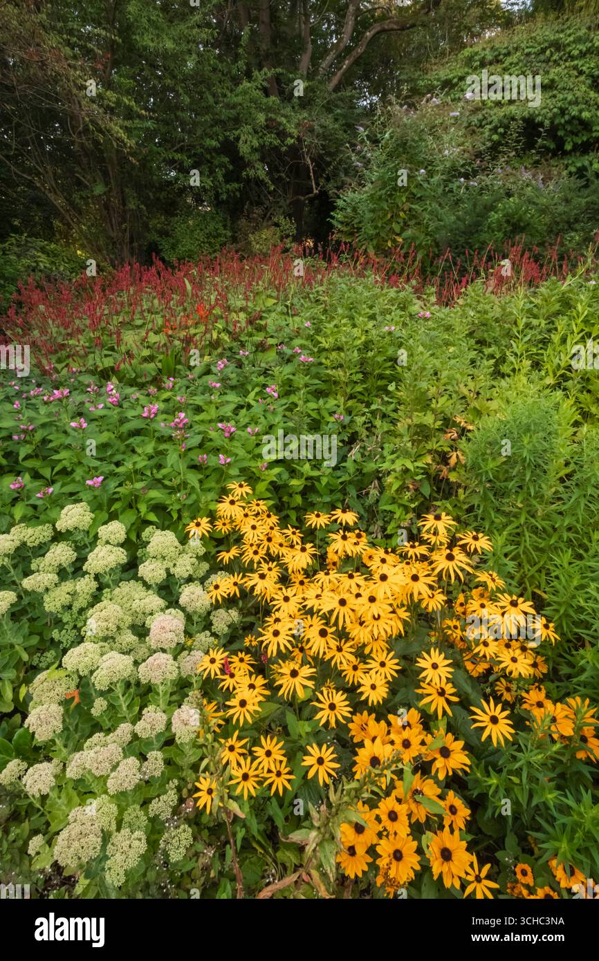 Inghilterra, Somerset, Bath, Royal Victoria Park, i giardini botanici, fiori colorati in fiore Foto Stock