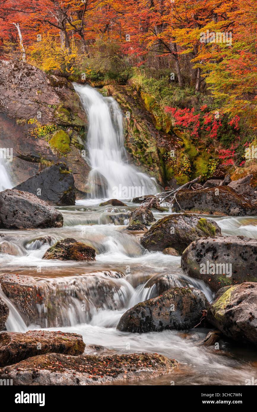 Cascata salto Argentino vicino a El Chalten nella valle del Rio de las Vueltas, fuori dal Parco Nazionale Los Glaciares nella regione della Patagonia di Arg Foto Stock