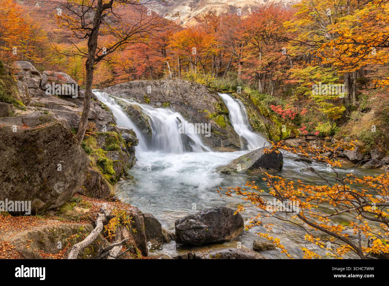 Cascata salto Argentino vicino a El Chalten nella valle del Rio de las Vueltas, fuori dal Parco Nazionale Los Glaciares nella regione della Patagonia di Arg Foto Stock
