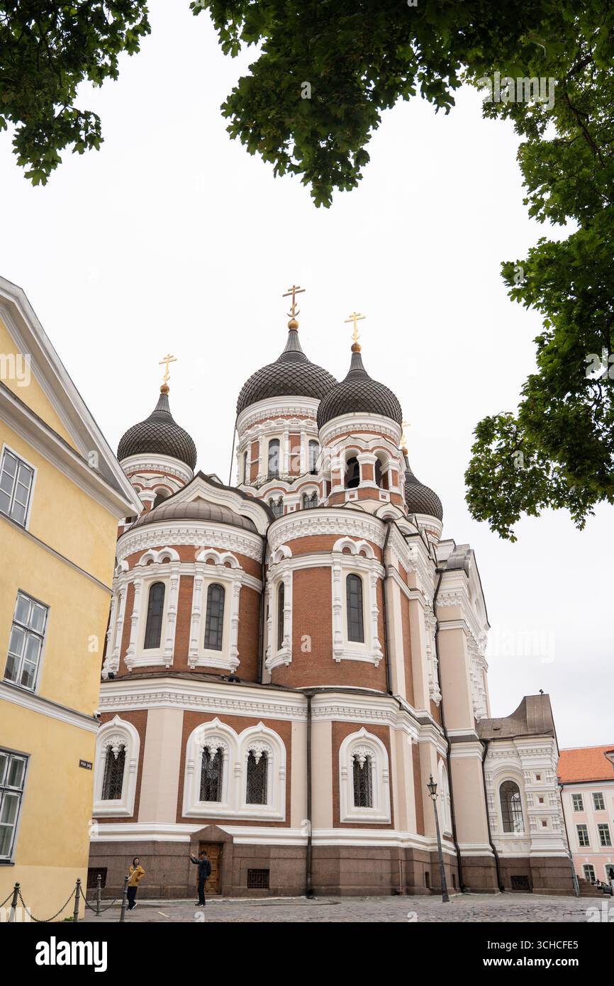 Cattedrale Alexander Nevsky con le distintive cupole a cipolla nella città vecchia di Tallinn incorniciate da rami di alberi verdi Foto Stock