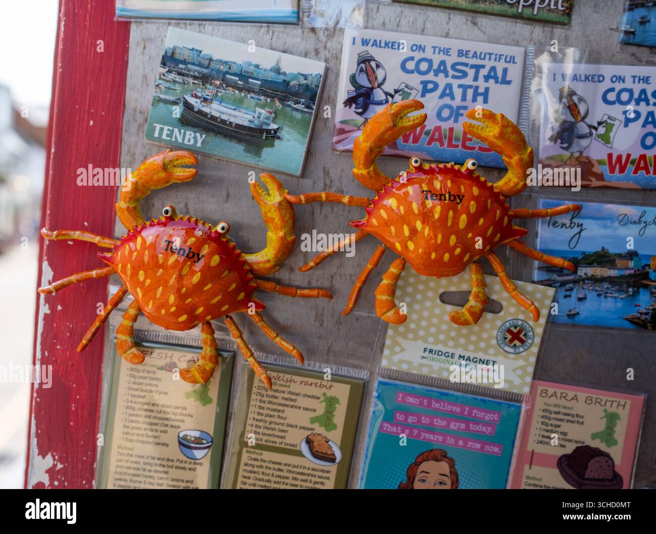 Negozio di articoli da regalo a Tenby, Pembroke, Galles occidentale, Regno Unito Foto Stock