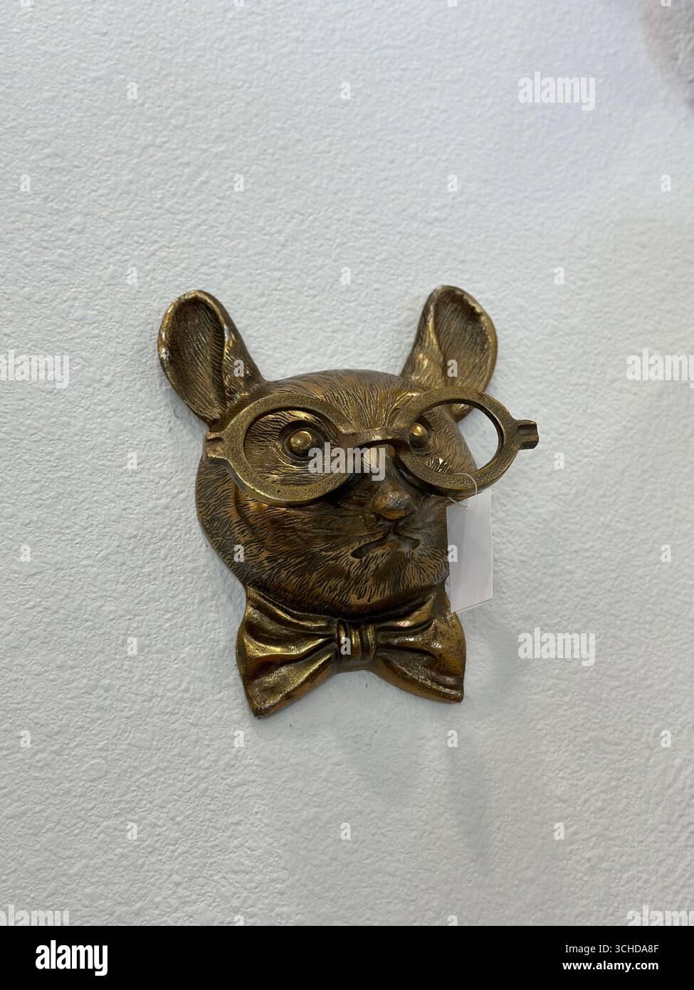 Un eccentrico ornamento da parete in ottone a forma di testa di animale che indossa occhiali rotondi e un papillon, esposto su una parete bianca. Foto Stock