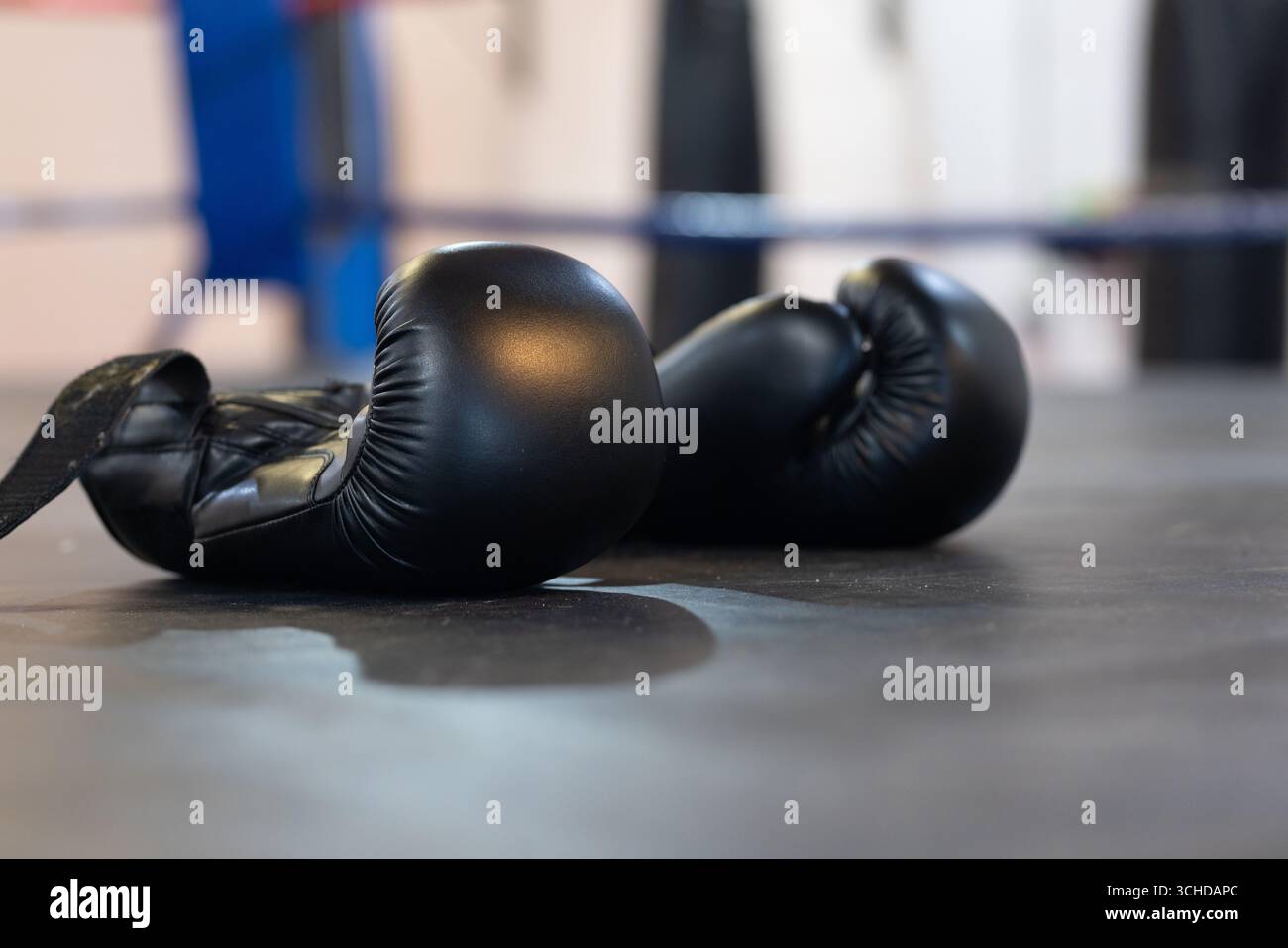 Guanti da boxe neri appoggiati sul pavimento del ring scuro, con corde blu e sacchetti sfocati Foto Stock