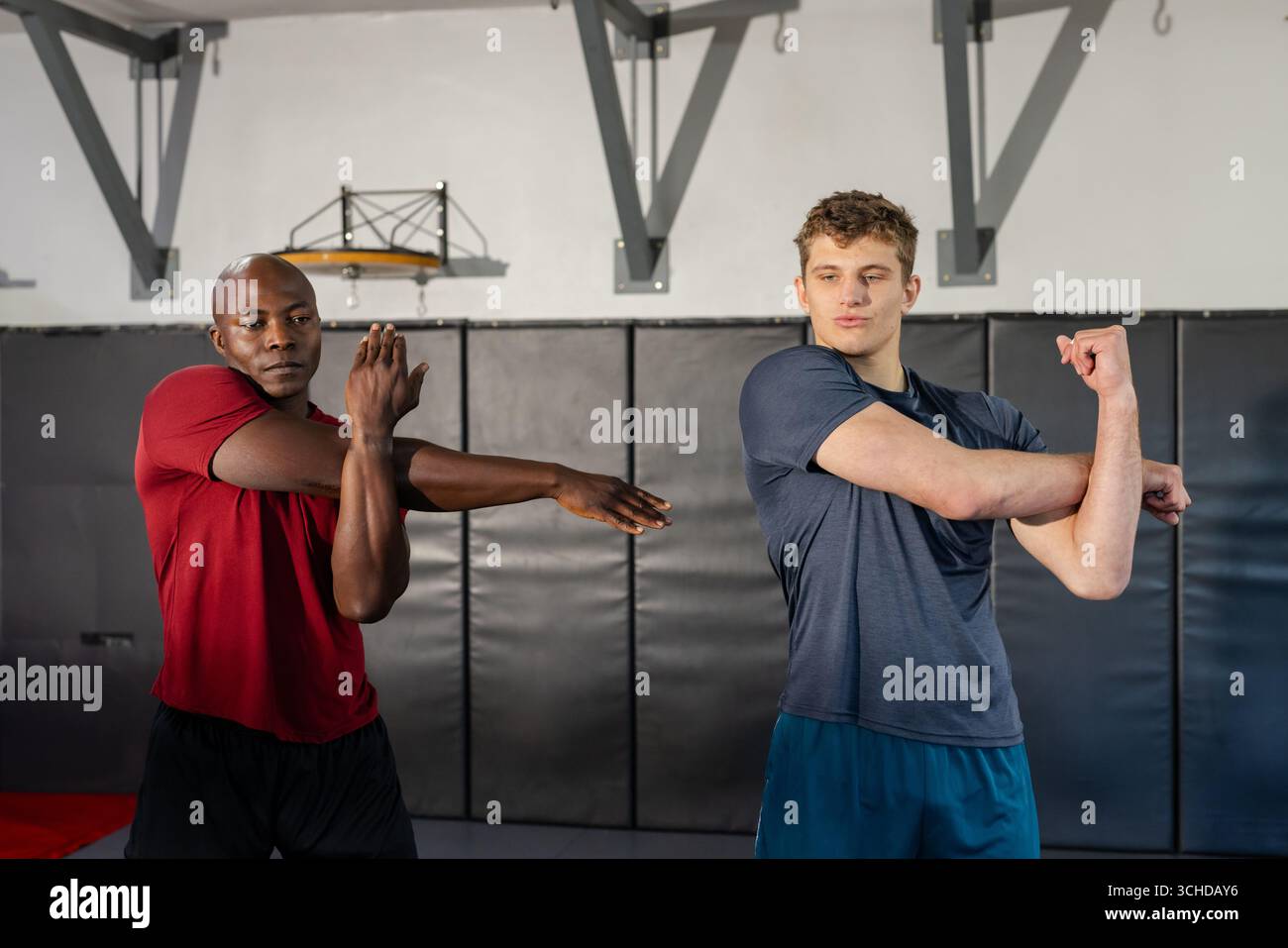 Diversi amici maschi che tirano le braccia sul petto, allungano le spalle in mma Gym sui tappetini da allenamento Foto Stock