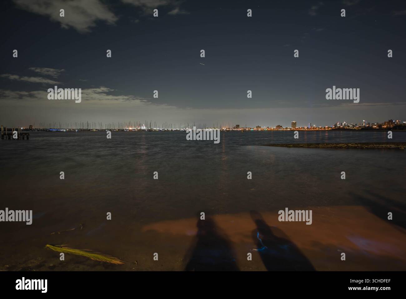 Un'attraente vista mozzafiato del fenomeno Bioluminescente alghe imprevedibili e improvvise appaiono alla spiaggia di St. Kilda a Melbourne, Australia. La bioluminescenza è l'emissione di luce durante una reazione di chemiluminescenza da parte di organismi viventi. La bioluminescenza si verifica in organismi multifari che vanno dai vertebrati marini agli invertebrati, così come in alcuni funghi, microrganismi, tra cui alcuni batteri bioluminescenti, dinoflagellati e artropodi terrestri come le lucciole. In alcuni animali, la luce è batteriogena, prodotta da batteri simbiotici come quelli del genere Vibrio; in Foto Stock
