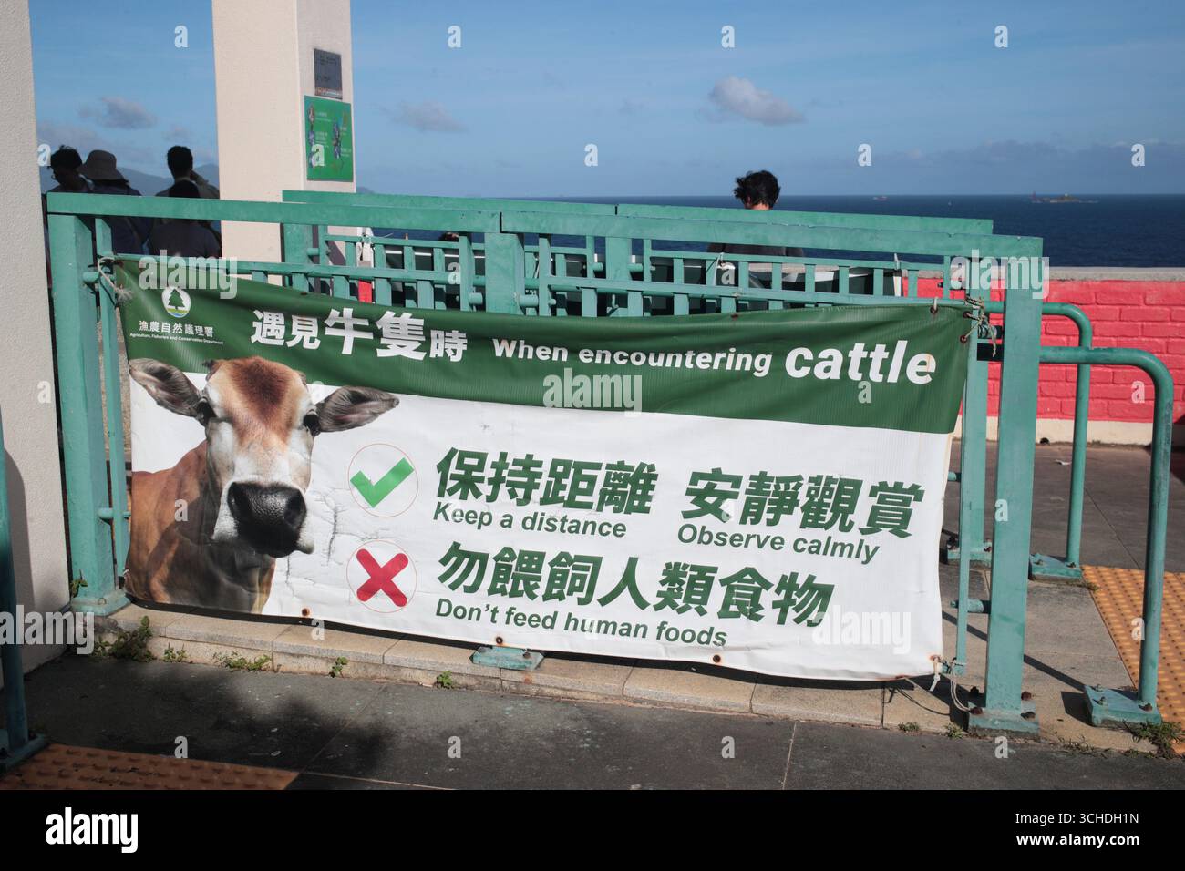 AFCD (Government) Cattle warning banner, Tap Mun Island, Hong Kong (agosto 2025) Foto Stock
