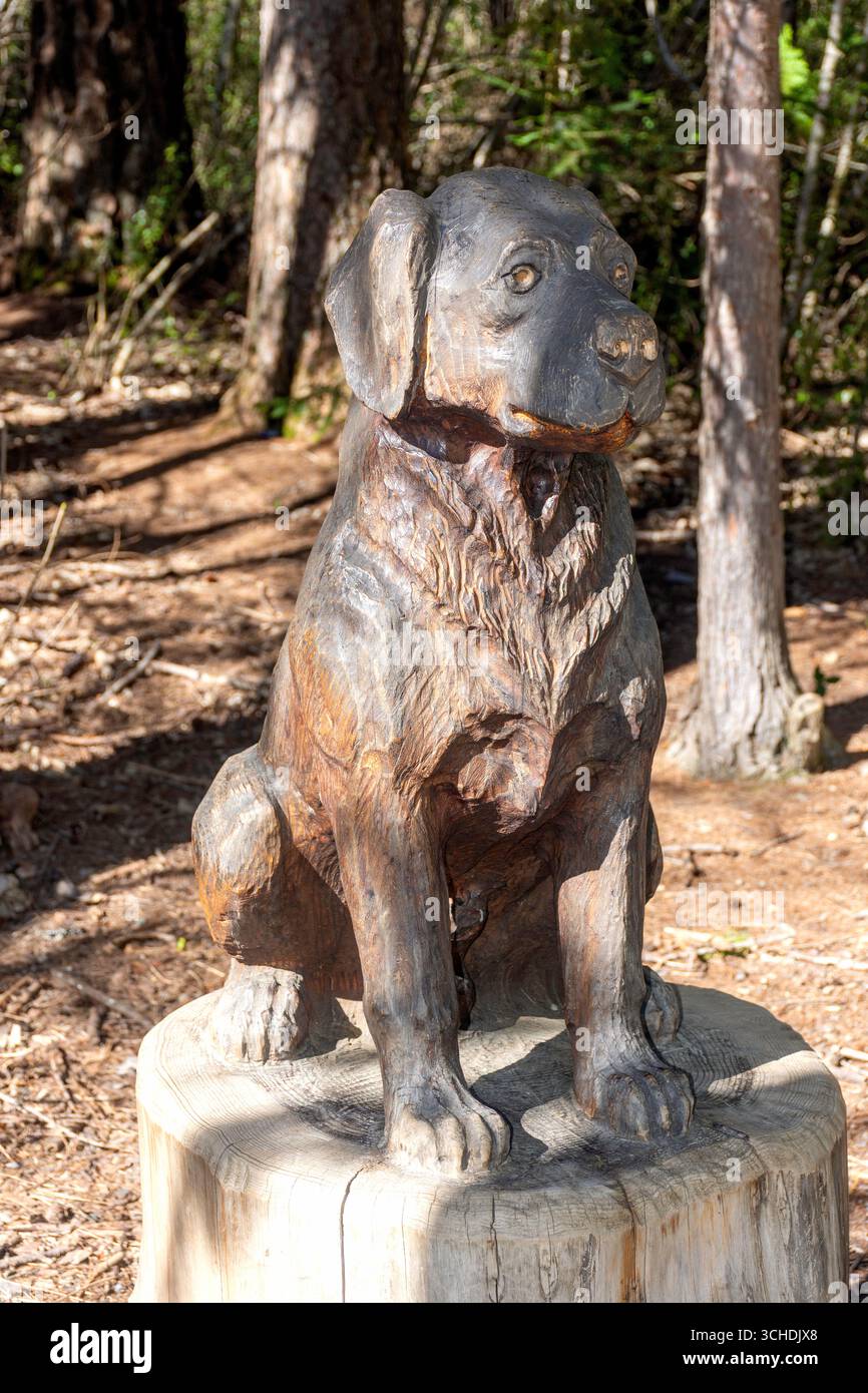Scultura di cani, passeggiata nella foresta/scultura, Hanmer Forest, Jollies Pass Road, Hanmer Springs, regione di Canterbury, isola del Sud, nuova Zelanda Foto Stock