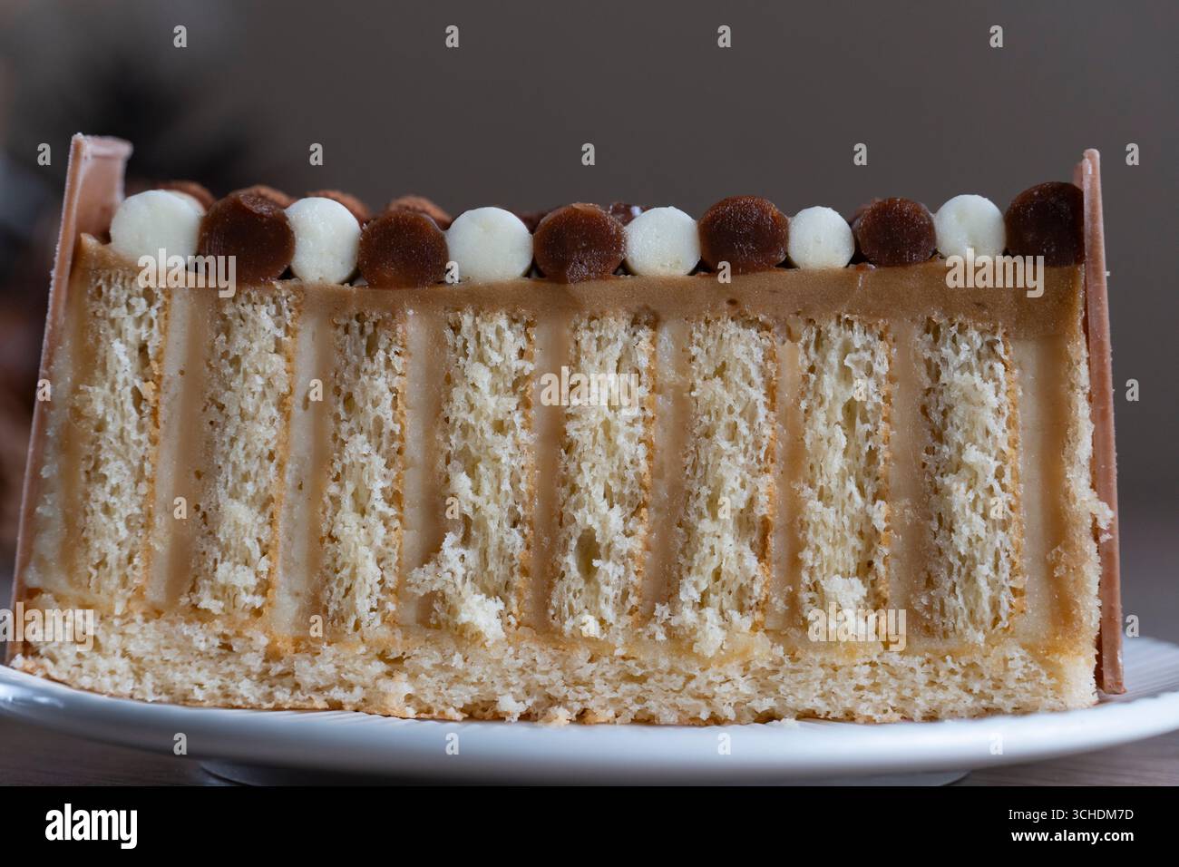 Primo piano di una fetta di pan di Spagna a strati con strati di panna, ricoperta di cioccolato e perle di vaniglia. Ideale per blog, menu e regali culinari Foto Stock