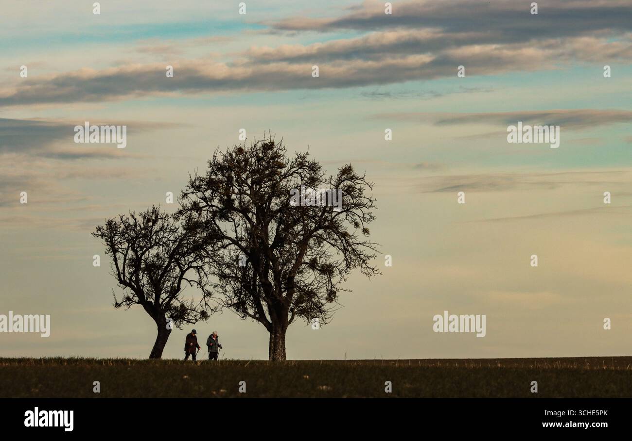 Due anziani in una passeggiata sotto gli alberi e il cielo nuvoloso Foto Stock