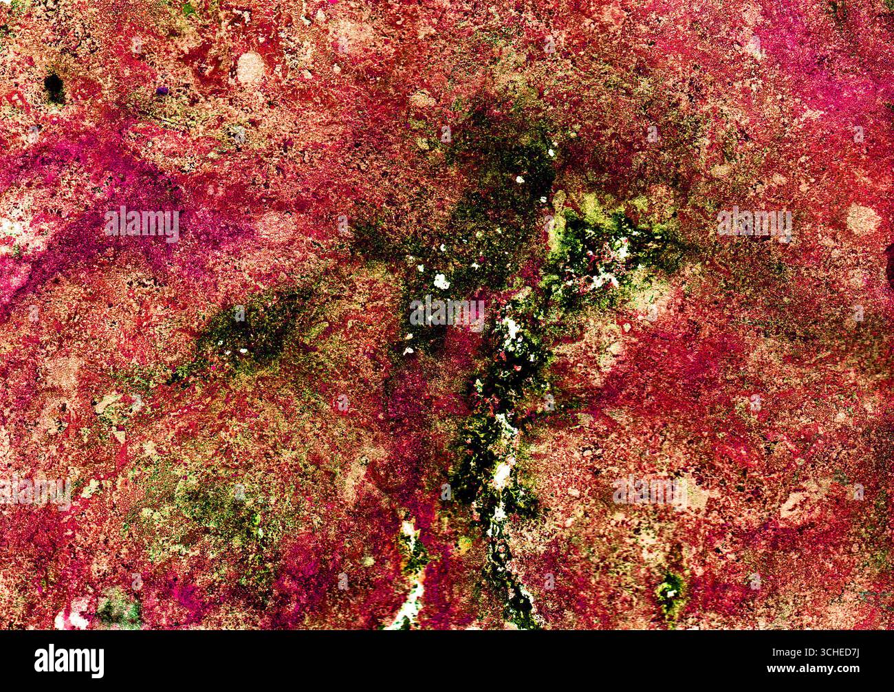 Sfondo astratto testurizzato. Diverse tonalità di verde, marrone, rosso, magenta. Macchie caotiche sparse sullo sfondo. Molti piccoli punti. Testo del rumore Foto Stock