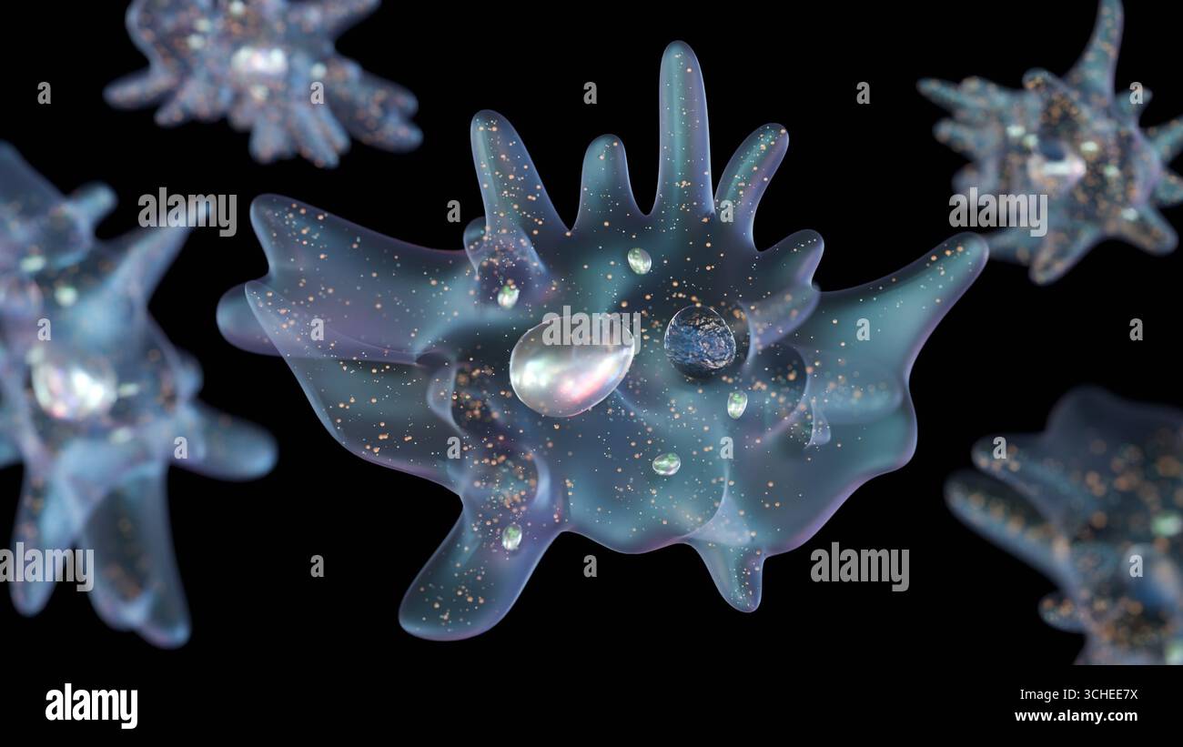 Rendering 3D di un'ameba, un organismo monocellulare. Si presenta su uno sfondo scuro, che fa risaltare il corpo traslucido dell'ameba. Foto Stock