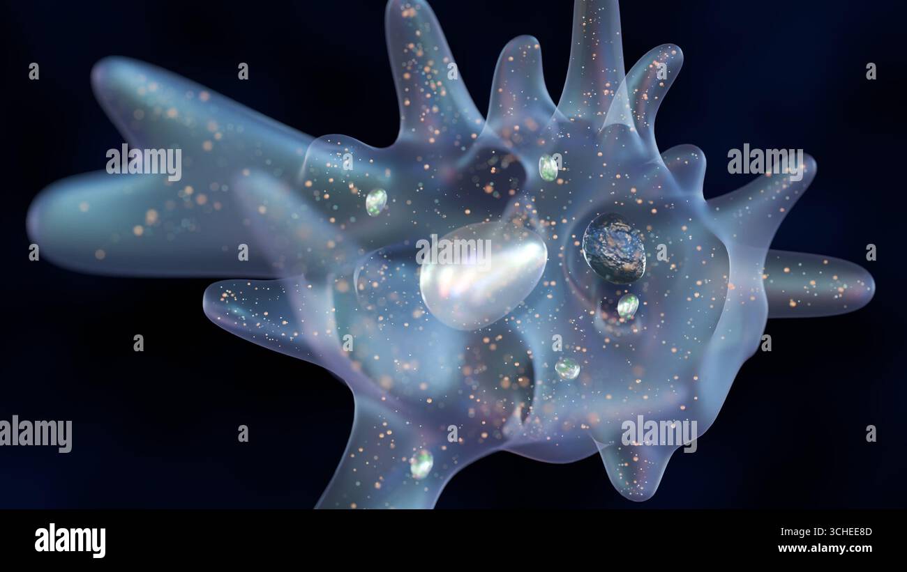 Rendering 3D di un'ameba, un organismo monocellulare. Si presenta su uno sfondo scuro, che fa risaltare il corpo traslucido dell'ameba. Foto Stock