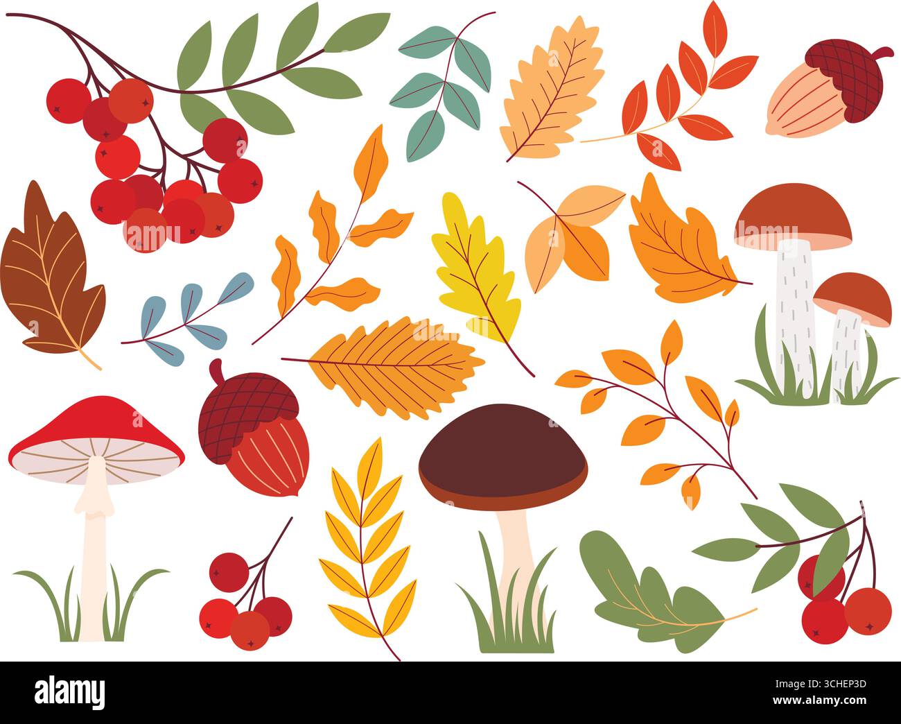 Insieme autunnale di elementi forestali naturali. Funghi, bacche di rowan, ghiande, rami di alberi e foglie, collezione di clip art. Illustrazioni della stagione autunnale Illustrazione Vettoriale