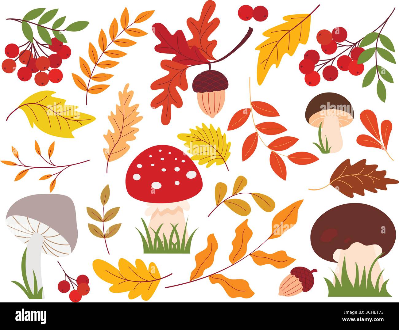 Set di elementi forestali naturali. Funghi, bacche di rowan, ghiande, ramoscelli e foglie, collezione di clip art. Illustrazioni autunnali isolate su bianco Illustrazione Vettoriale