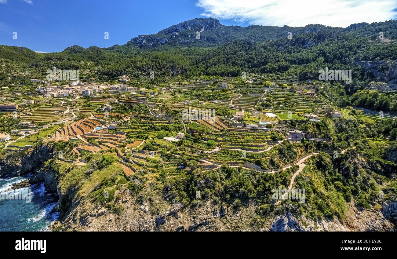Vista aerea, paesaggio terrazzato, vita e vita, Banyalbufar, Isole Baleari, Maiorca, Isole Baleari, Spagna Foto Stock