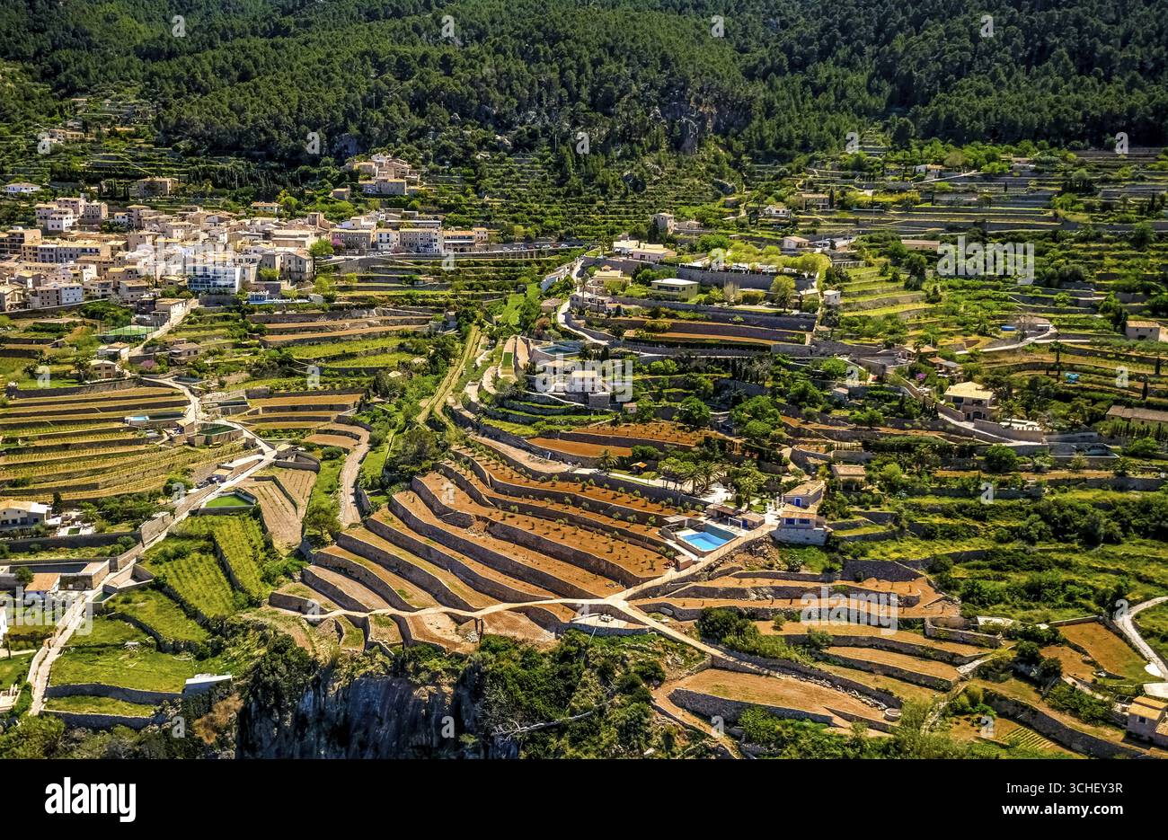 Vista aerea, paesaggio terrazzato, vita e vita, Banyalbufar, Isole Baleari, Maiorca, Isole Baleari, Spagna Foto Stock