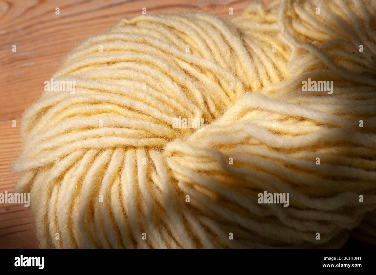 Lana tinta con sostanza vegetale Letharia Vulpina, comunemente nota come il lupo Lichen Foto Stock