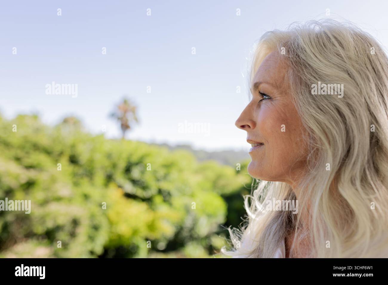 Osservando una donna anziana in giardino, ammirando il verde lussureggiante del fogliame, il cielo azzurro e lo spazio per copiare Foto Stock Osservando una donna anziana in giardino, ammirando il verde lussureggiante del fogliame, il cielo azzurro e lo spazio per copiare Foto Stock