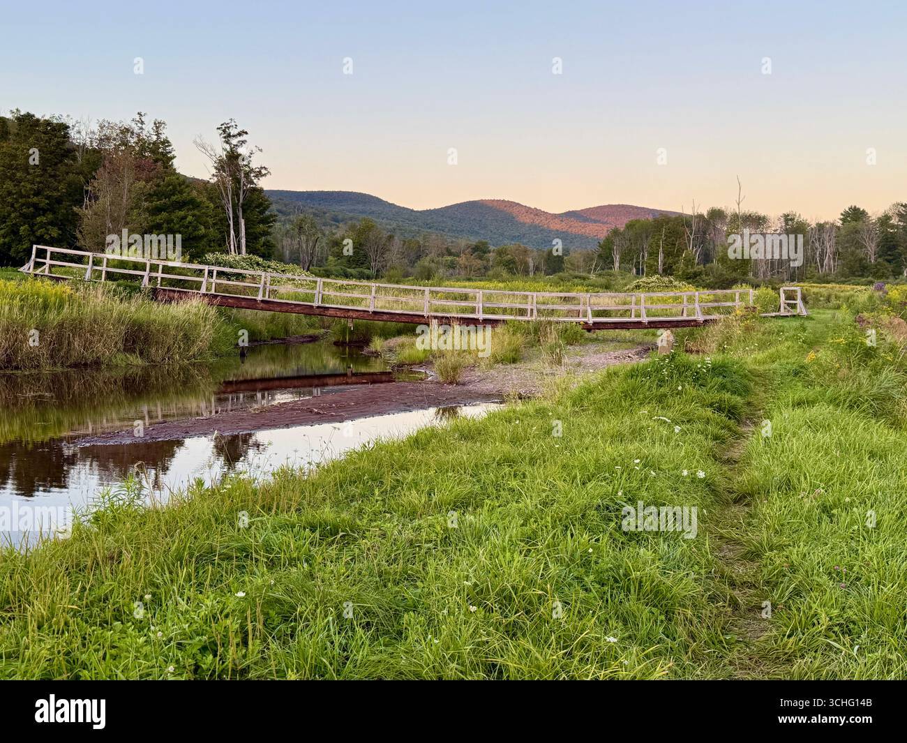 Immagine perfetta del paesaggio al crepuscolo. bellezza naturale. CD Lane Park Maplecrest, NY. Rinfrescante lago cristallino, ponte, serpeggianti prati di fiori selvatici. - Immagine stock catturata con smartphone