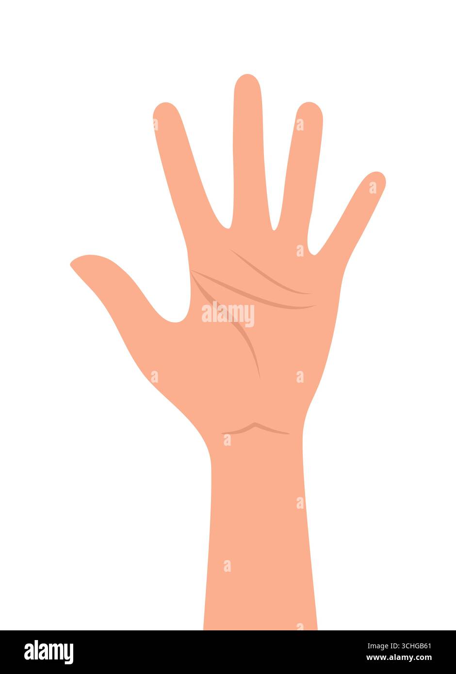 Mano umana che mostra il numero cinque con le dita, isolata su sfondo bianco. Illustrazione vettoriale piatta Illustrazione Vettoriale Mano umana che mostra il numero cinque con le dita, isolata su sfondo bianco. Illustrazione vettoriale piatta Illustrazione Vettoriale