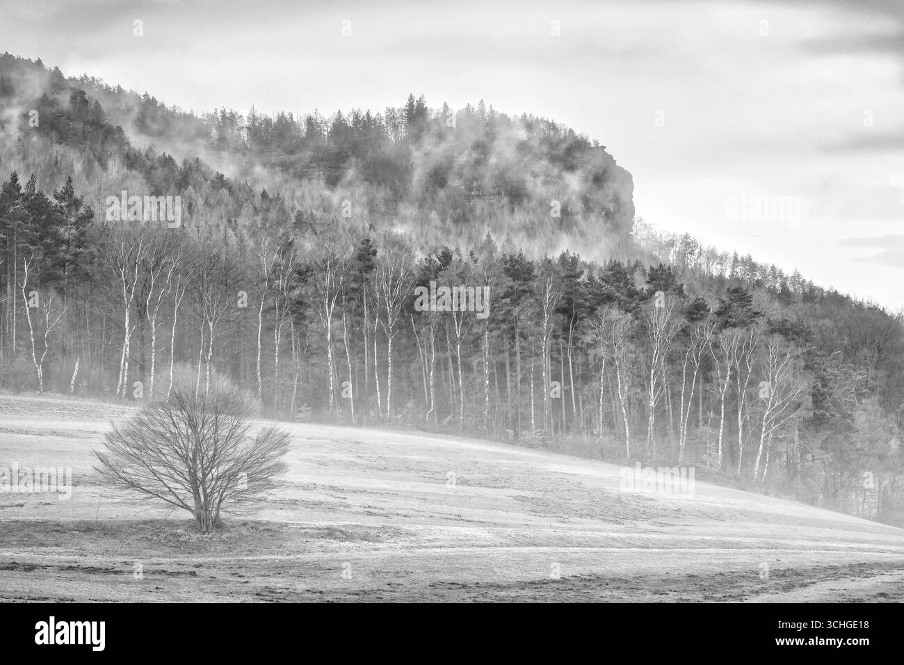 Foto in bianco e nero di un paesaggio aperto con Un campo, Collina boscosa e cielo nuvoloso, natura tranquilla con Un carattere nostalgico. Foto Stock