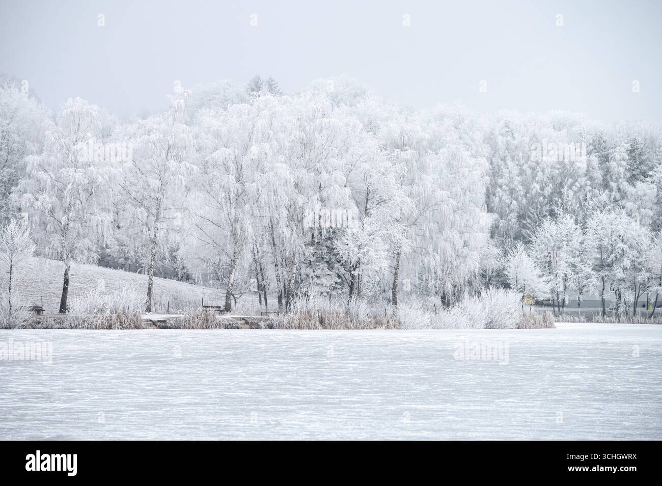 Alberi e campi innevati abbracciano il lago ghiacciato sotto una luce invernale soffusa e dorata Foto Stock
