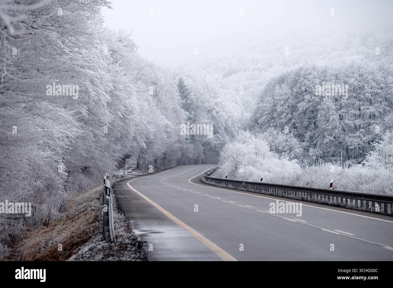 Una tranquilla strada a due corsie si estende attraverso una campagna bianca innevata, abbracciata dalla calma e dalla magia della stagione natalizia Foto Stock