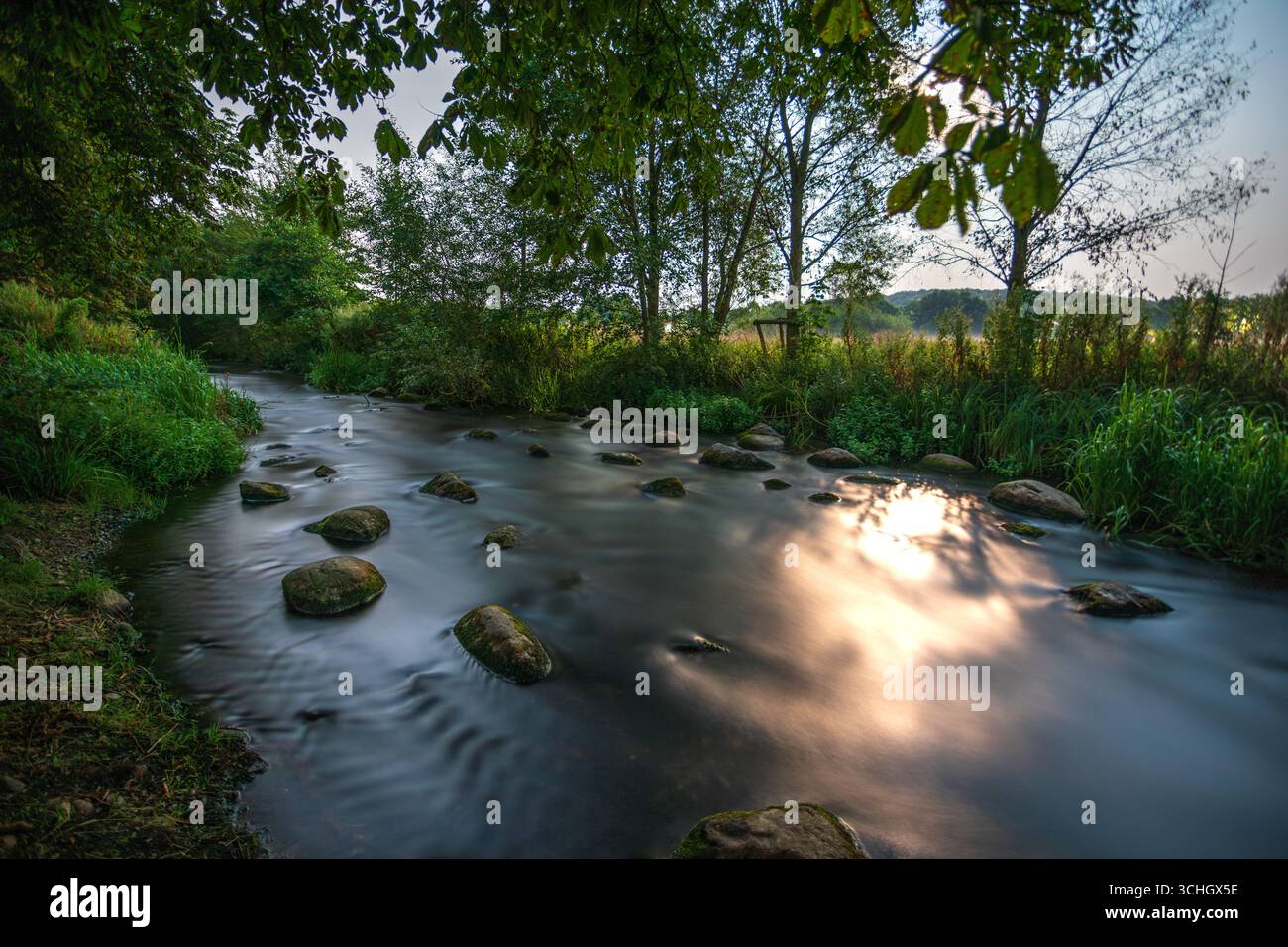 Ruscello della foresta al chiaro di luna con acqua fluente e pietre Foto Stock