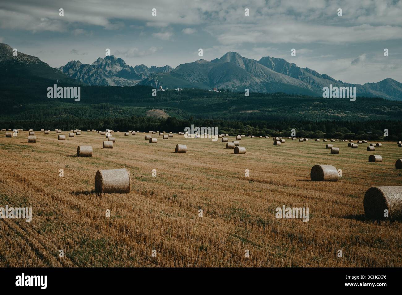 Un prato estivo illuminato dal sole è disseminato di balle di fieno, con gli alti Tatra che si innalzano drammaticamente sullo sfondo, mescolando fascino rurale con majes alpine Foto Stock
