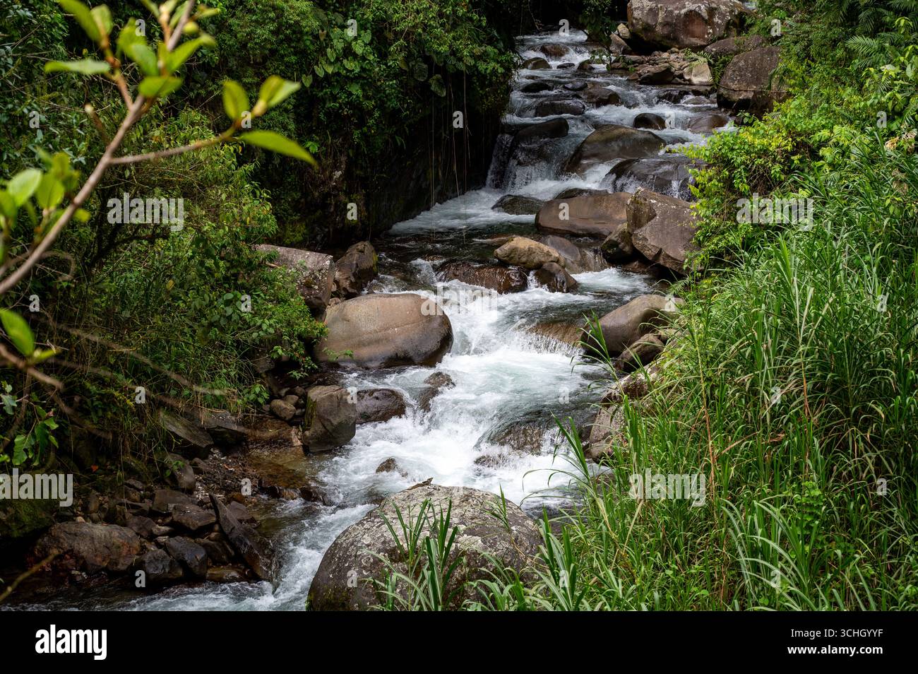 PERÉZ Zeledón, PROVINCIA DI SAN JOSÉ, COSTA RICA: Un fiume vicino alla riserva naturale di Cloudbridge, un paradiso per la fauna selvatica, la ricerca biologica e la conservazione. Foto Stock