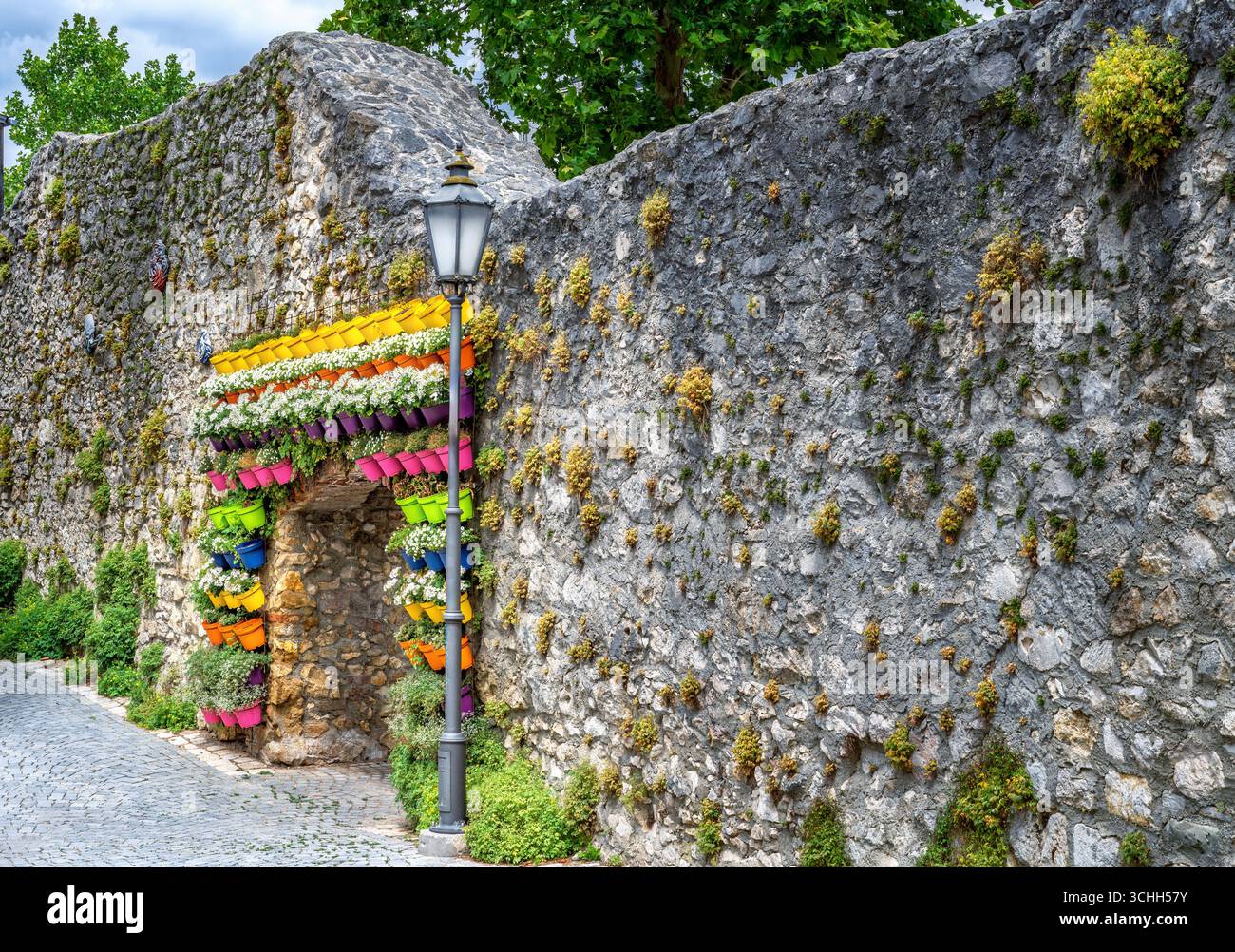 Parete verticale con vasi di fiori colorati alle mura della città di Abensberg Foto Stock