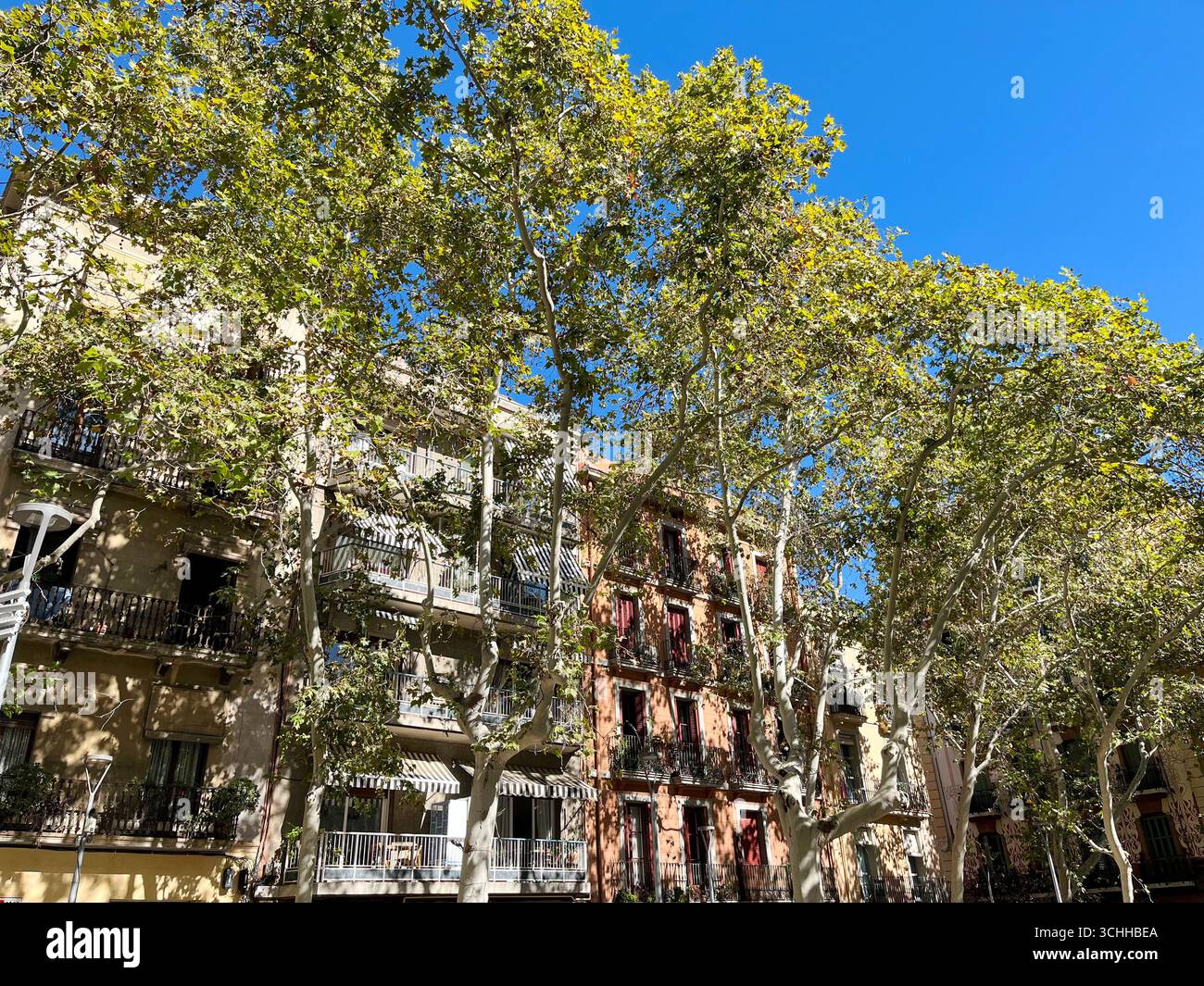 Architettura di Barcellona Foto Stock