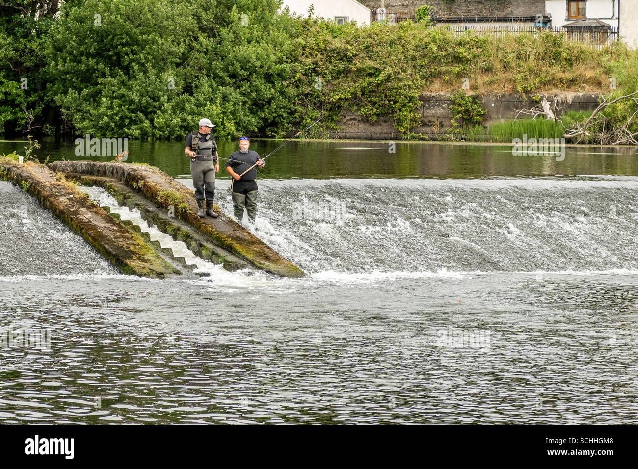 Due uomini pescano il salmone al weir sul fiume Lee ai Lee Fields in una giornata molto calda e umida a Cork, in Irlanda. Foto Stock