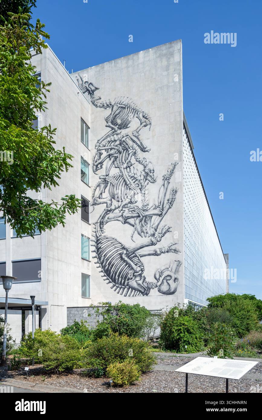 Murale di scheletri di animali di ROA sulla parete del GUM / Museo dell'Università di Gand visto dal Giardino Botanico della città di Gent, Fiandre orientali, Belgio Foto Stock