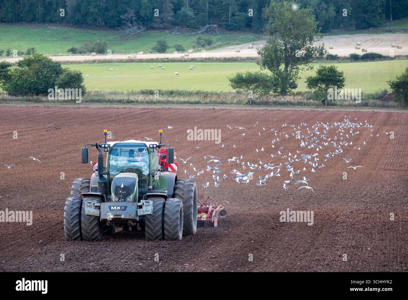 Un trattore che eroga un campo per demolire il terreno prima della coltivazione vicino a Lauder, Scottish Borders, Regno Unito Foto Stock