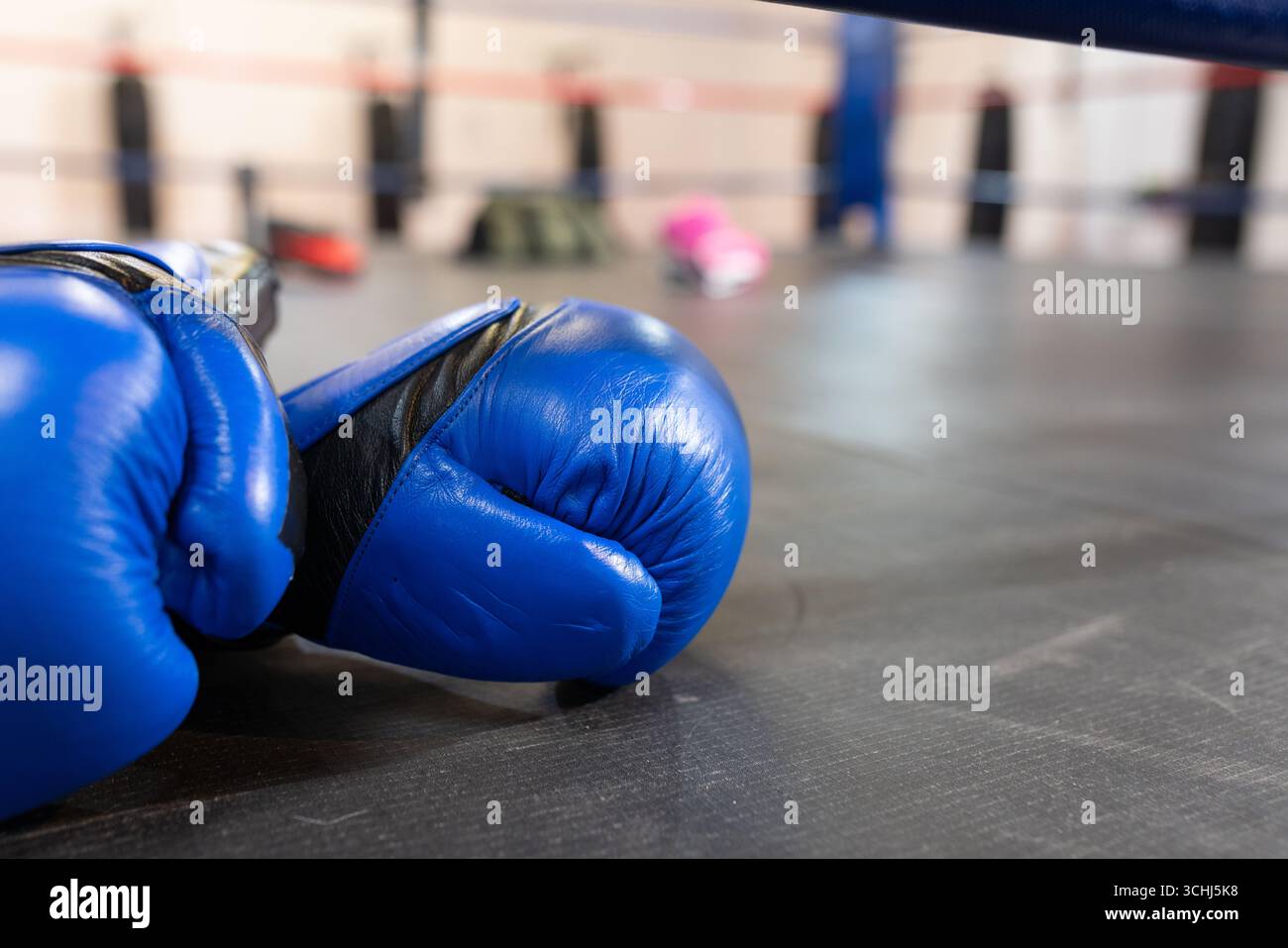 Guanti da boxe blu appoggiati su tappetino ad anello nero testurizzato, con corde rosse, bianche e blu Foto Stock
