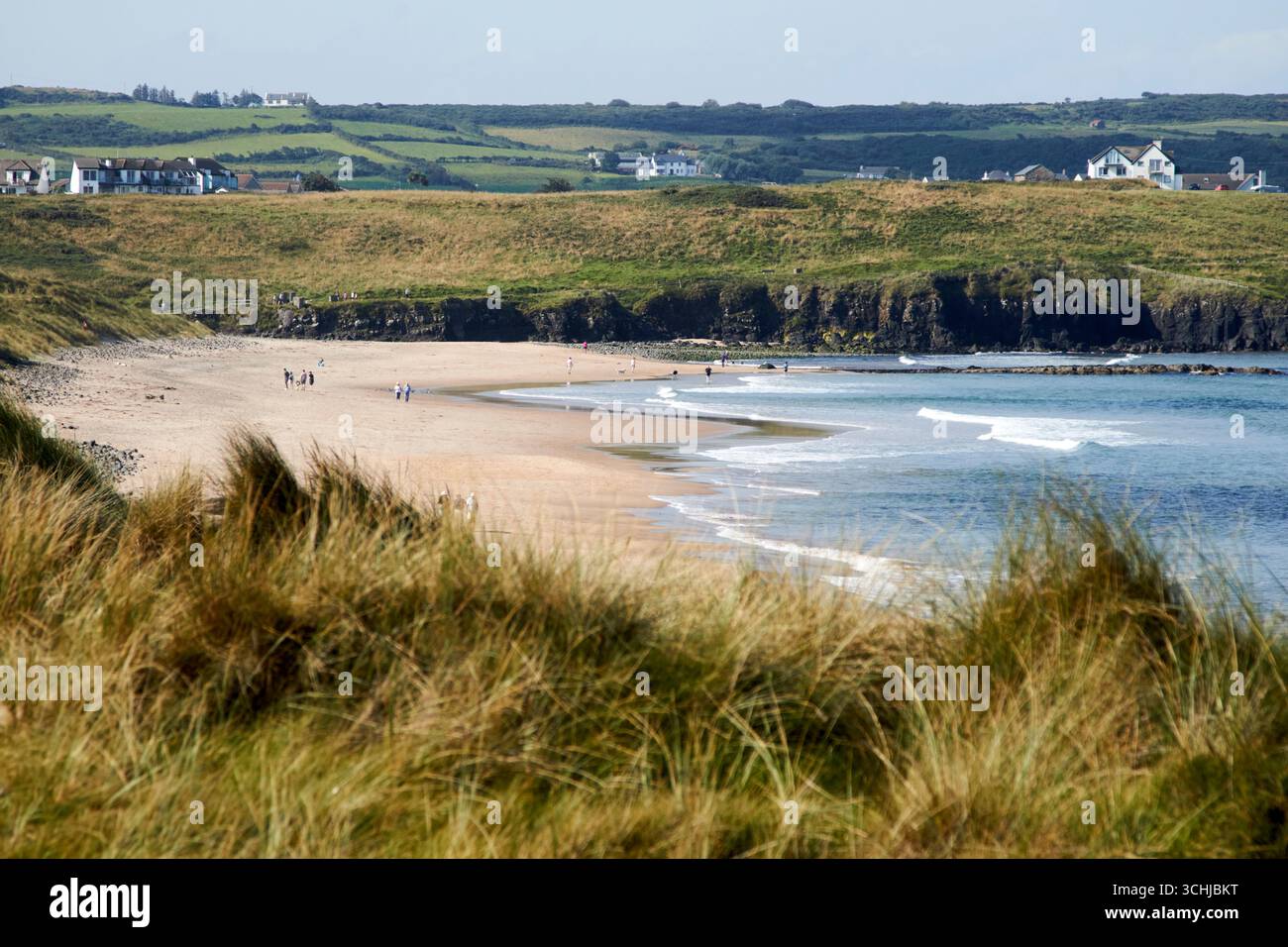 runkerry o spiaggia a piedi di alberi runkerry strand portballintrae causeway coast county antrim irlanda del nord regno unito Foto Stock