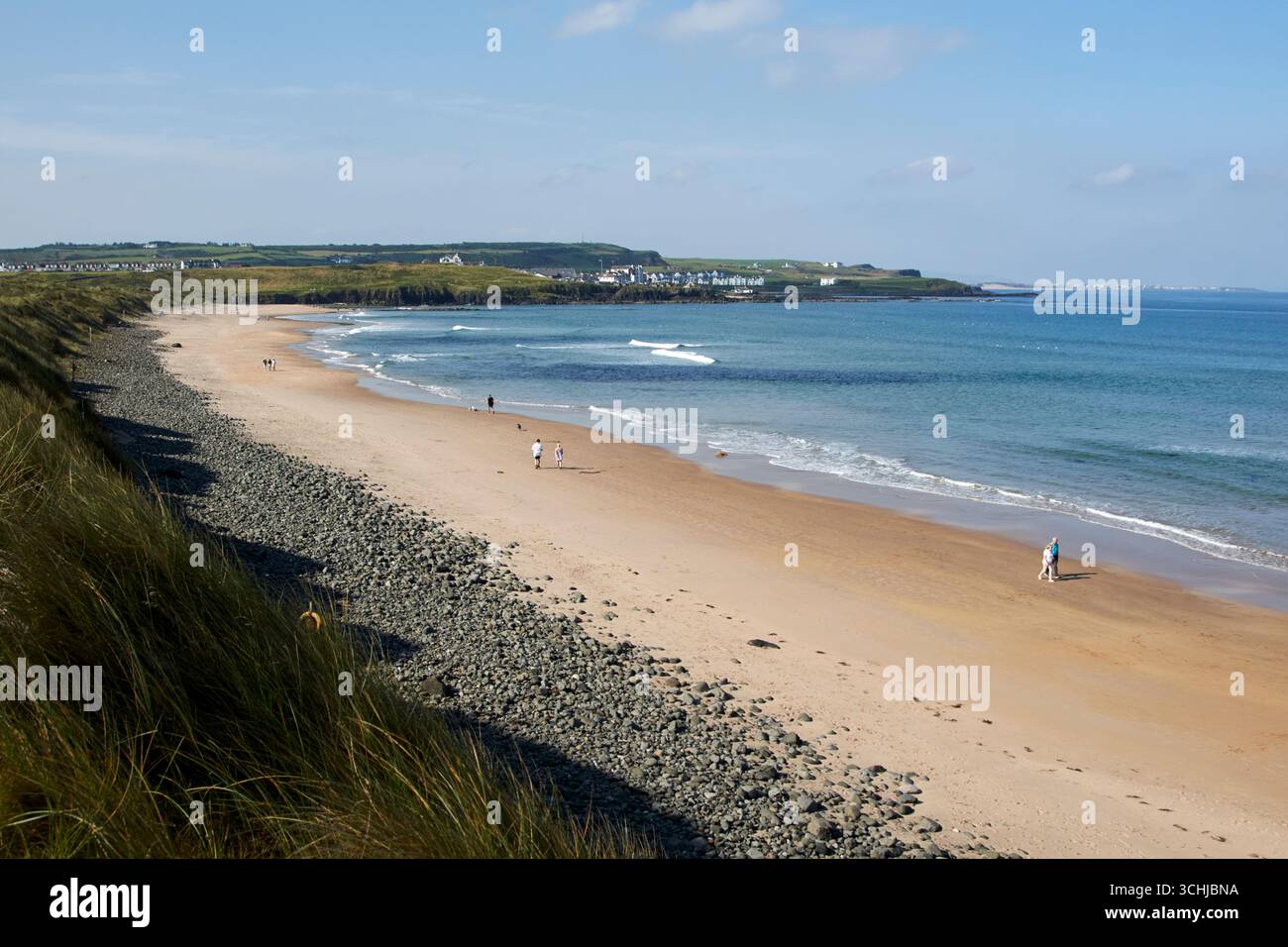 runkerry o spiaggia a piedi di alberi runkerry strand portballintrae causeway coast county antrim irlanda del nord regno unito Foto Stock