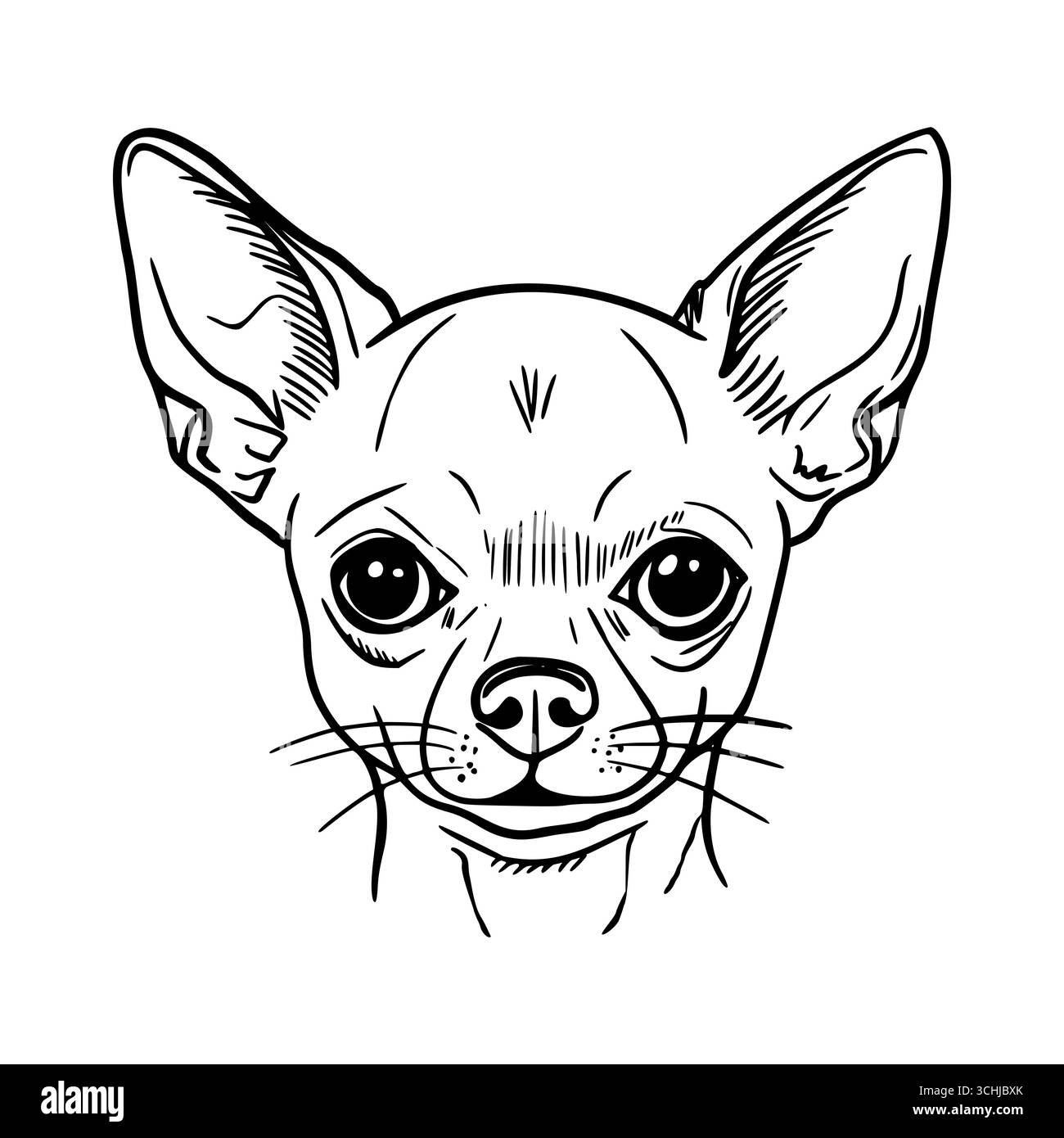 Un'illustrazione dettagliata di un cane Chihuahua. Il cane ha orecchie grandi, un muso corto e occhi espressivi. È raffigurato in un semplice stile line-art. Illustrazione Vettoriale