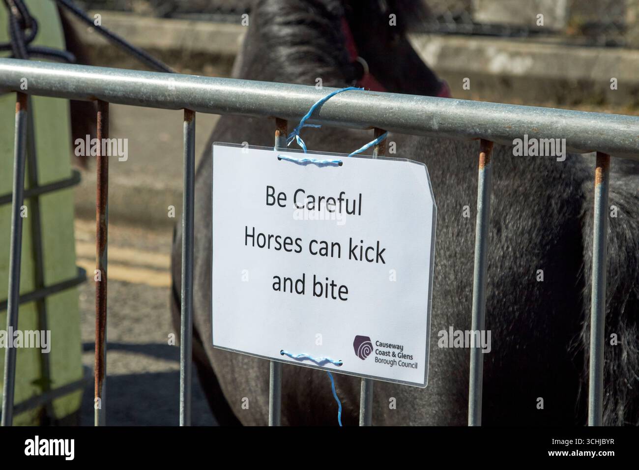 segnalate alle persone di fare attenzione che i cavalli possano calci e mordere in una fiera di cavalli ballycastle, irlanda del nord, regno unito Foto Stock