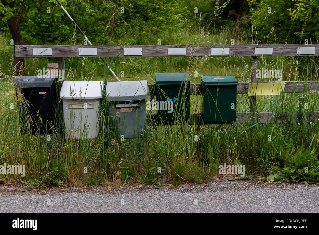 Una fila di diverse cassette postali lungo una strada tranquilla nella Svezia rurale, simboleggia la vita della comunità locale e il fascino della campagna scandinava. Foto Stock