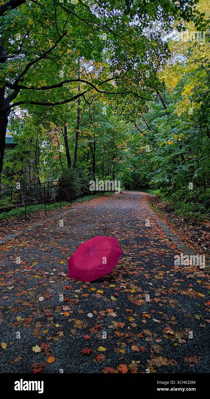 Persona che fa trekking sul Monte Royal a Montreal con ombrello rosa durante la pioggia autunnale. Foto Stock