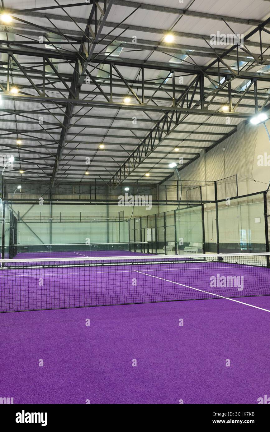 Il pavimento e la rete viola del campo risplendono all'interno della sala dello sport con pannelli di vetro e recinzioni in metallo nero Foto Stock