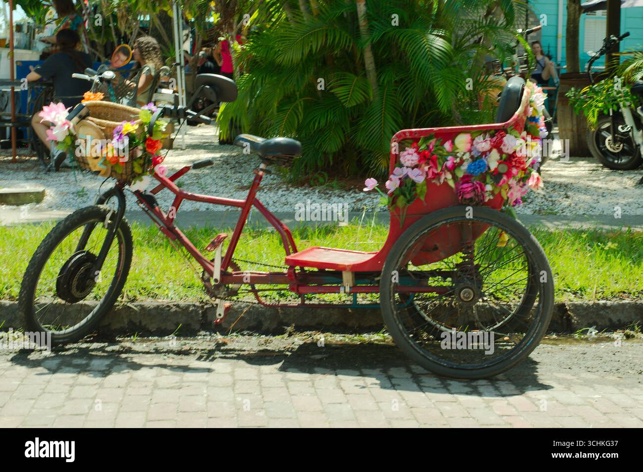 Vivace e colorata bicicletta a tre ruote decorata con fiori in un ambiente tropicale all'aperto. Solo per uso editoriale, 30 agosto 2025 Gulfport, FL , USA. ADO Foto Stock