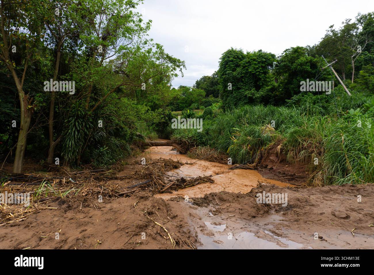 Ruscello nella foresta pieno di acqua fangosa, alberi caduti e detriti dopo gravi inondazioni e frane, mostrando danni alla natura e all'ambiente. Foto Stock