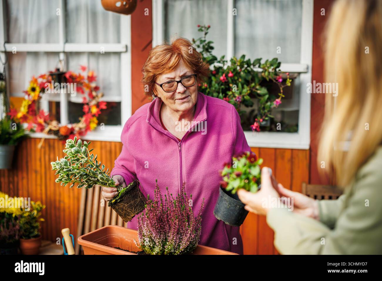 Donna anziana e sua figlia adulta che piantano fiori nei cortili. Persone che giardinano all'aperto in autunno Foto Stock